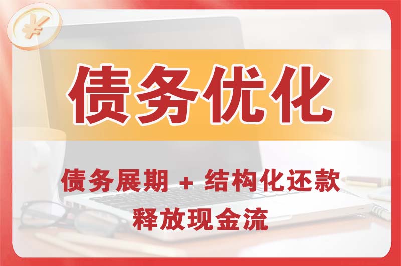麻章债务优化