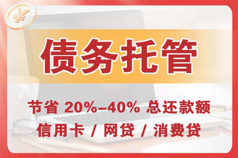 麻章债务托管