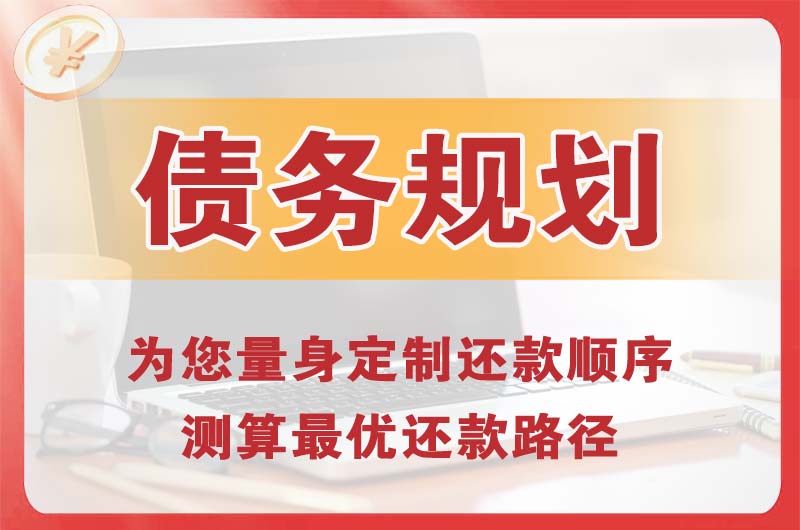 麻章债务规划